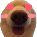 doggylovesyou emote