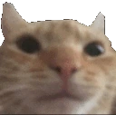 crunch emote