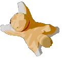 IremSpin emote