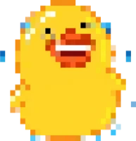 8bitduck_joy emote