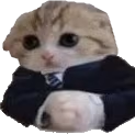 Baseg emote