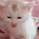 CE_LickingAir emote