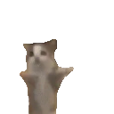 Happy emote