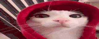 plinkRave emote