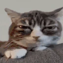 tired emote
