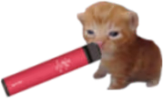vapebert emote