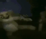 GOCRAZY emote