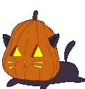 pumpkincat_scared emote