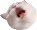 Nana_AAA emote