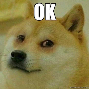 rsdoge avatar