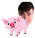 Swinka emote