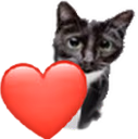 LOVEcat emote