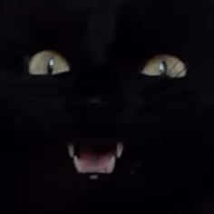 bunnyu emote