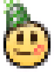 New_Years_2013 emote