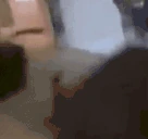 Zaneto emote