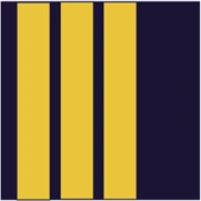 Airline_First_Officer emote