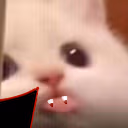 bla emote