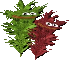 HerbChamp emote