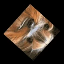 BBPossessed emote