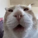 rem emote