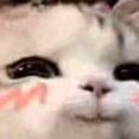 imdBlushy emote