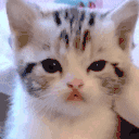 agitated animated emote
