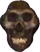 skullblack emoji