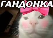 GANDONKA emote