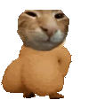 buhass emote