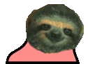 partyslothParrot emote