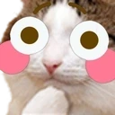 flushedCat emote