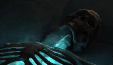 ARISE emote