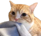 looting emote