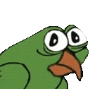 birdgeShit emote