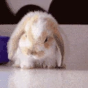 DIESOFCRINGE emote