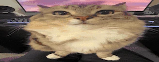 scooter emote