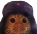 Cyat emote