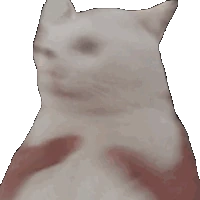 shakethecat emote