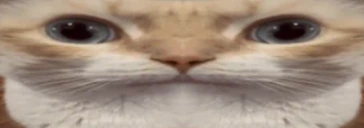 uuhuu emote
