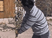 Working emote