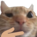 think emote