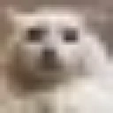stare emote