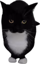 maxwellstand emote