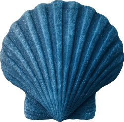 Blueseashell static emote