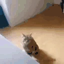 tieso emote