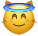 cat_innocent emote