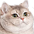 fatCat emote