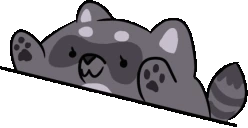 BongoRaccoon emote