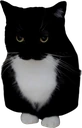 maxwellstand3 emote