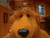 SNIFFA emote